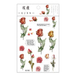 fleurs séchées décoratives naturelles adhésives transparentes variées sacs enfants papeterie mignonne