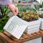 Pots succulentes blancs moderne rainures verticales drainage aération 10cm 12cm 15cm