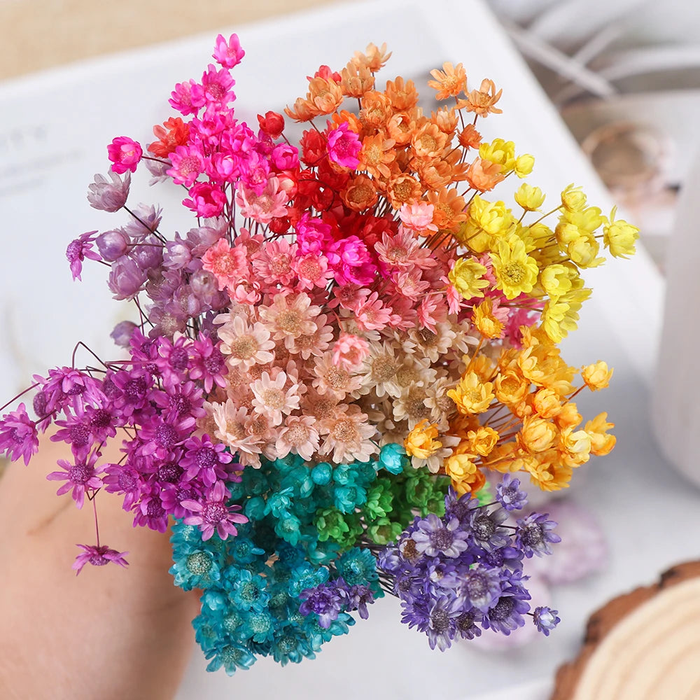 bouquet fleurs séchées multicolores petites marguerites naturelles décoration mariage maison rustique champêtre