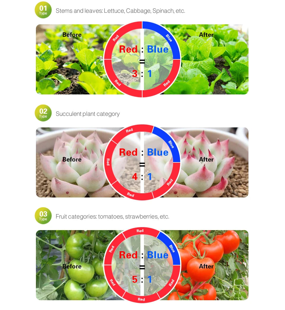 ruban led culture plantes 10m rouge bleu full spectrum adhésif moderne led phyto adaptable
