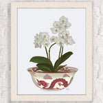 Des fleurs d'orchidée blanches épanouies dans un vase orné de motifs de dragon rouge.