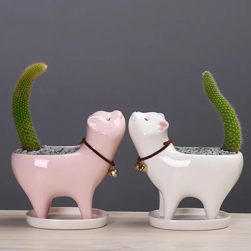 pots fleurs forme chat cactus rose blanc bleu clair détails yeux clochette collier cuir