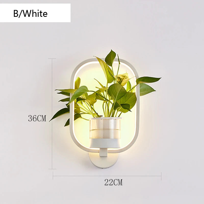 lampe murale moderne minimaliste noire blanche plante pot plastique transparent chambre salon entrée