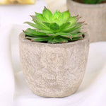 plantes succulentes artificielles vertes modernes mini bonsaï décoration maison feuilles pointues arrondies pot céramique