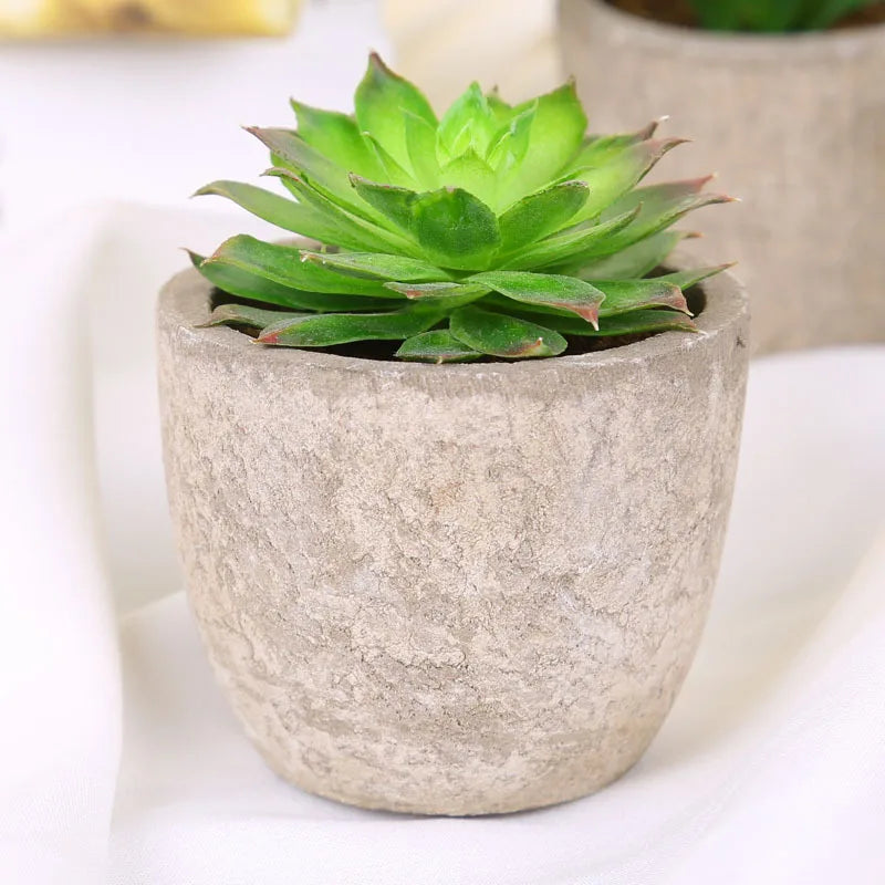 plantes succulentes artificielles vertes modernes mini bonsaï décoration maison feuilles pointues arrondies pot céramique