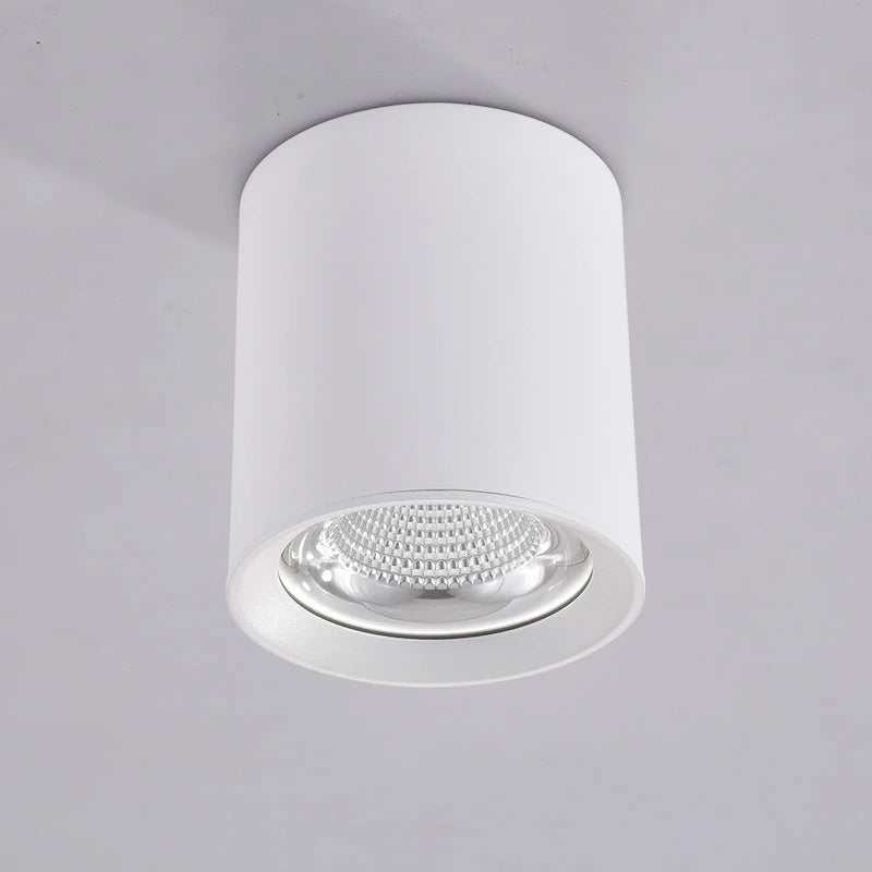 Spot lumineux moderne surface mounted noir blanc 10W 15W 25W 35W LED anti reflet