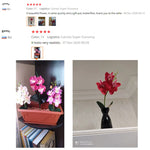décoration intérieure orchidée artificielle violette blanche rose pot bois festive chambre