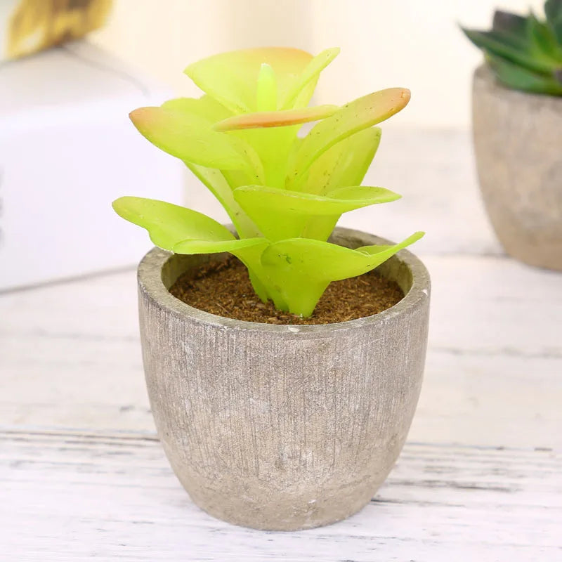plantes succulentes artificielles vertes modernes mini bonsaï décoration maison feuilles pointues arrondies pot céramique