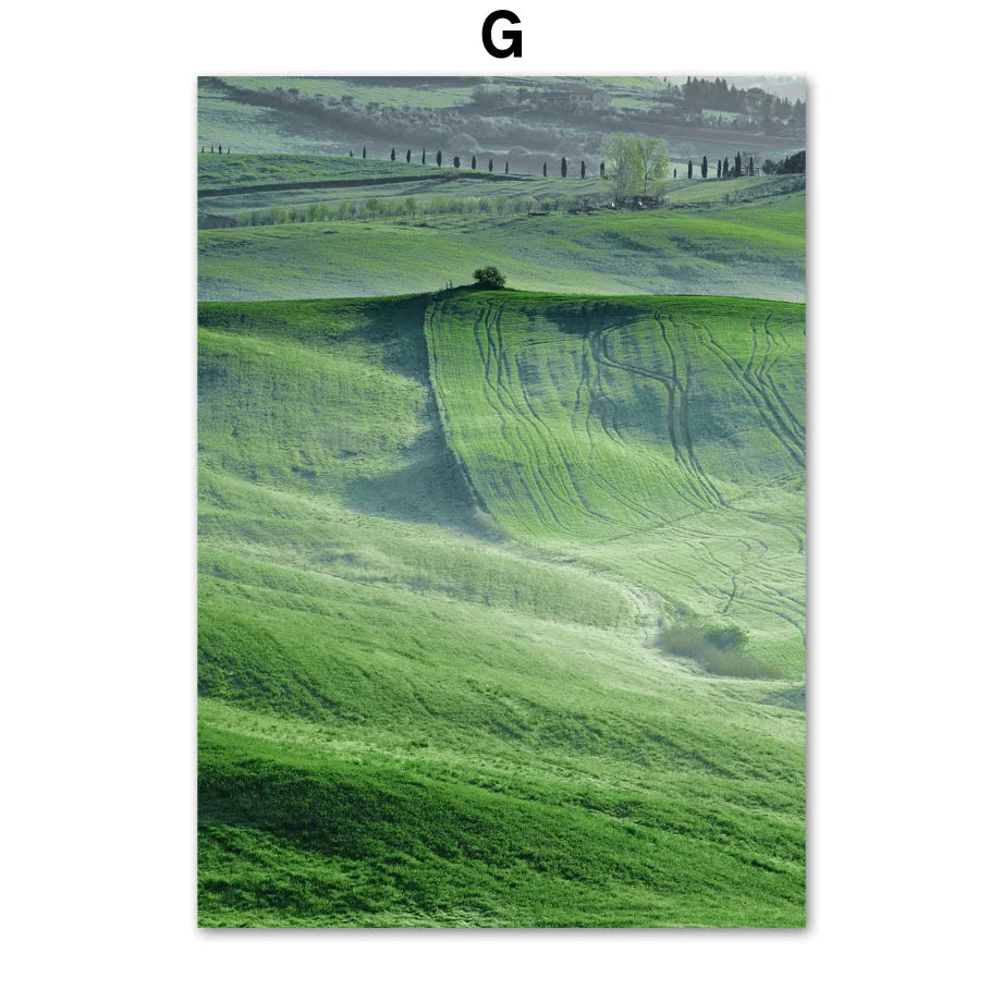 Paysage vallonné verdoyant avec des champs et des collines ondulantes, donnant une impression de nature paisible et tranquille.