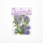 autocollants fleurs séchées diverses couleurs naturelles artisanal scrapbooking matériel décoration 40 pièces