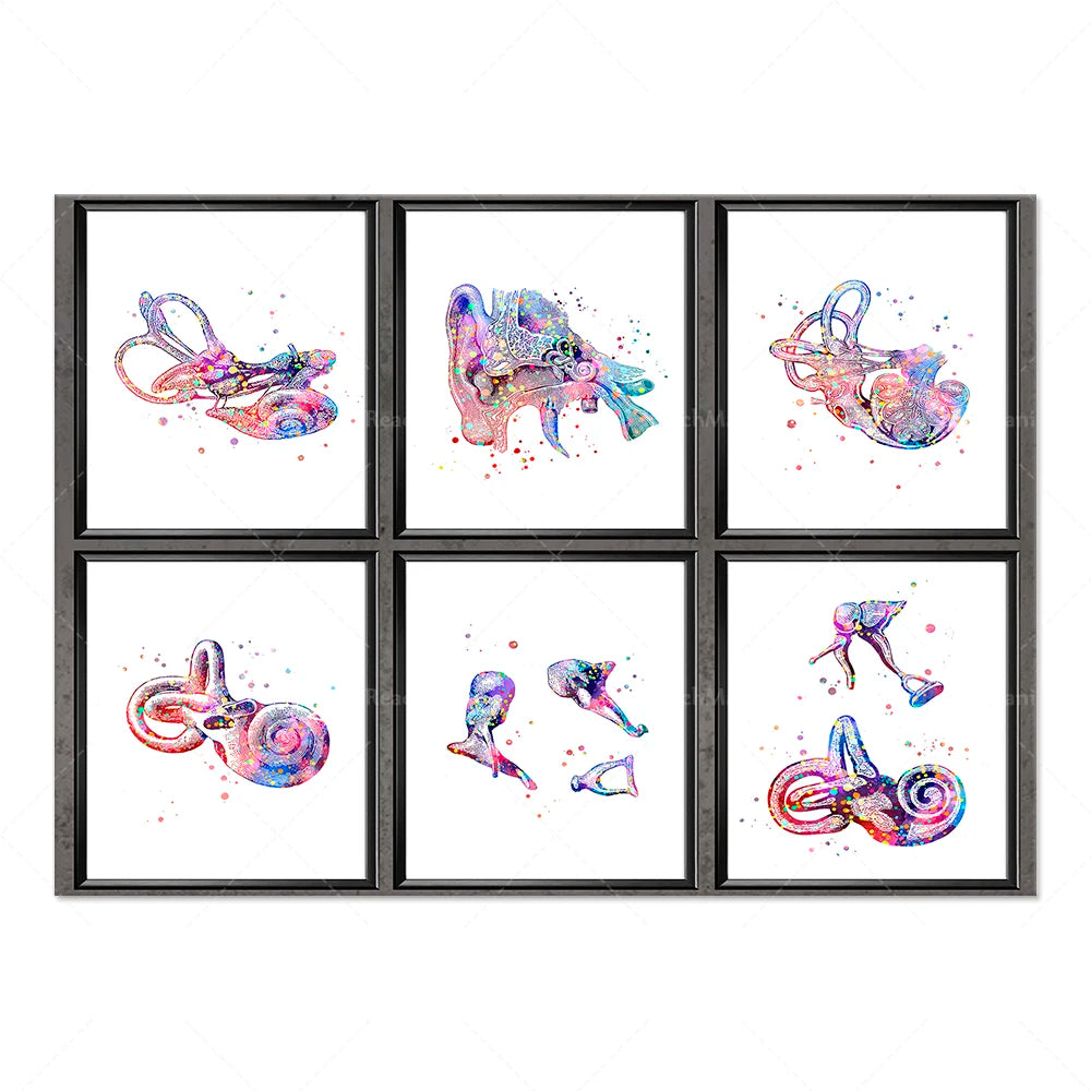 Cette image présente six illustrations aquarellées de créatures sous-marines aux formes et couleurs étonnantes, dans des cadres noirs.