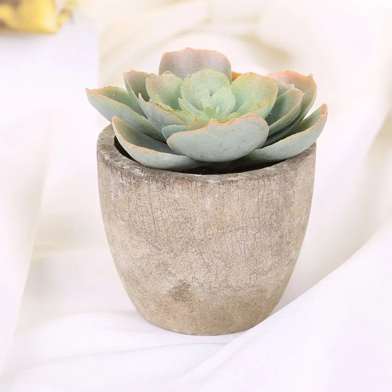 plantes succulentes artificielles vertes modernes mini bonsaï décoration maison feuilles pointues arrondies pot céramique