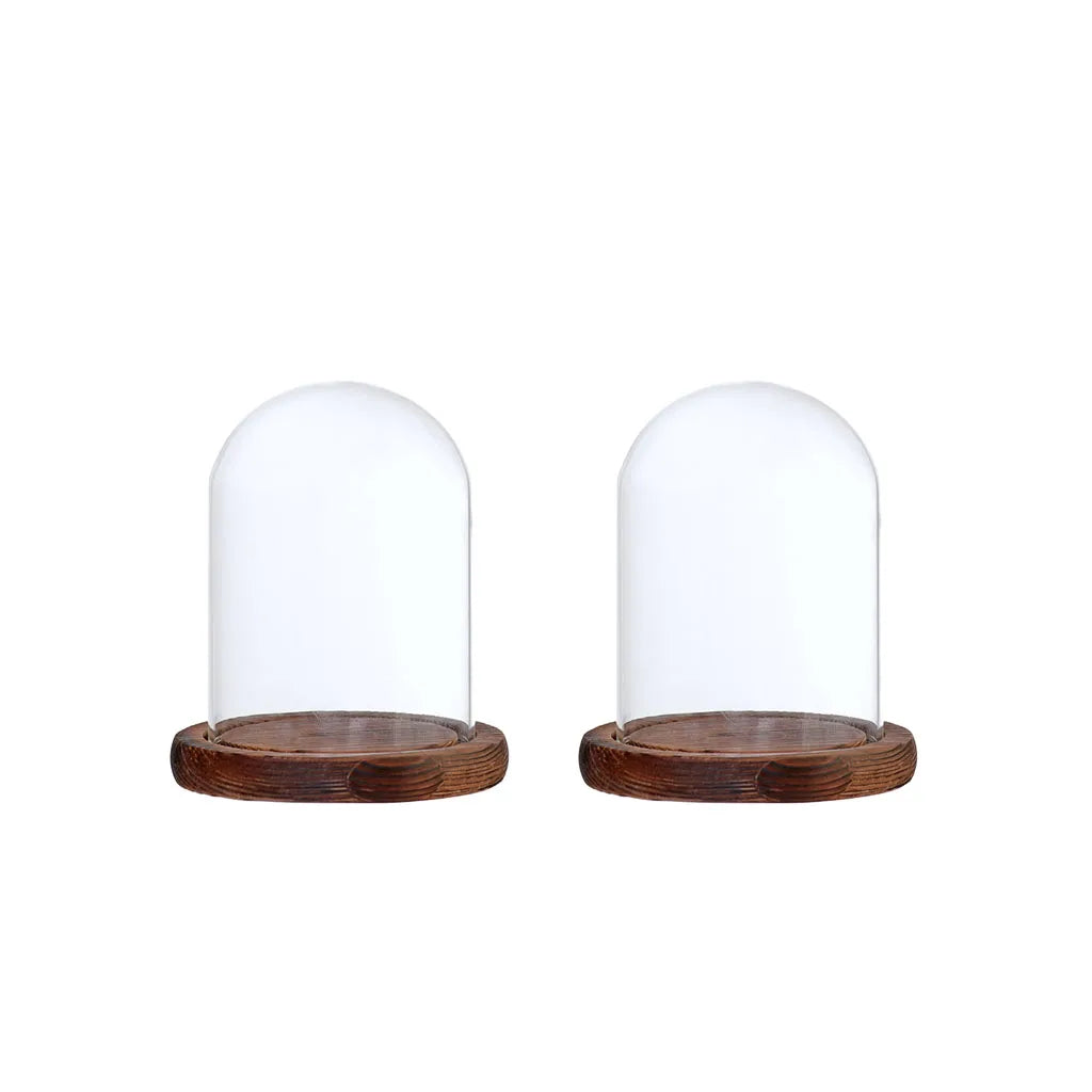 vases transparents verre socle bois décoration vintage bohème fleurs séchées mousse feuillage led maison