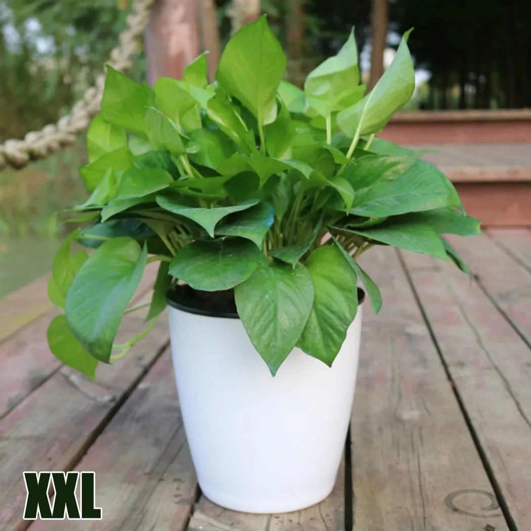 pots plantes modernes blancs lisses drainage absorbant coton grilles tailles xl xxl