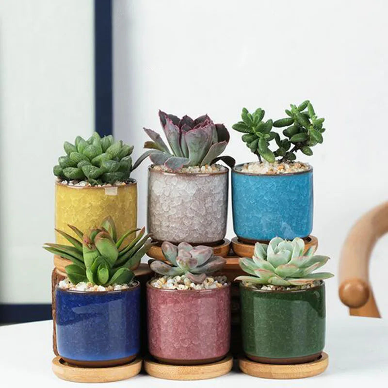 pots céramique fleurs chouette tête oiseau couleur variée texture artistique succulente
