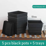 Pots succulentes blancs moderne rainures verticales drainage aération 10cm 12cm 15cm