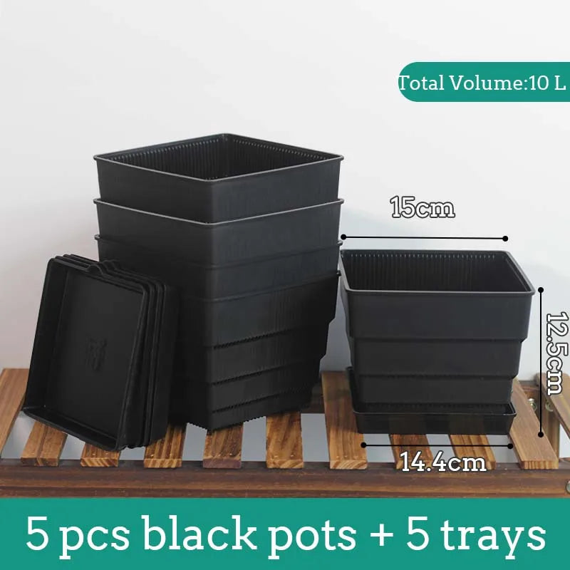 Pots succulentes blancs moderne rainures verticales drainage aération 10cm 12cm 15cm