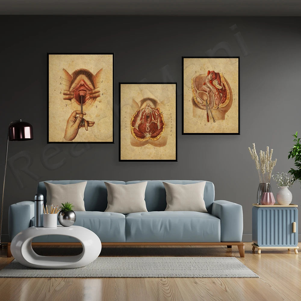 Des illustrations anatomiques encadrées décorent un salon moderne avec un canapé bleu et des accessoires design.