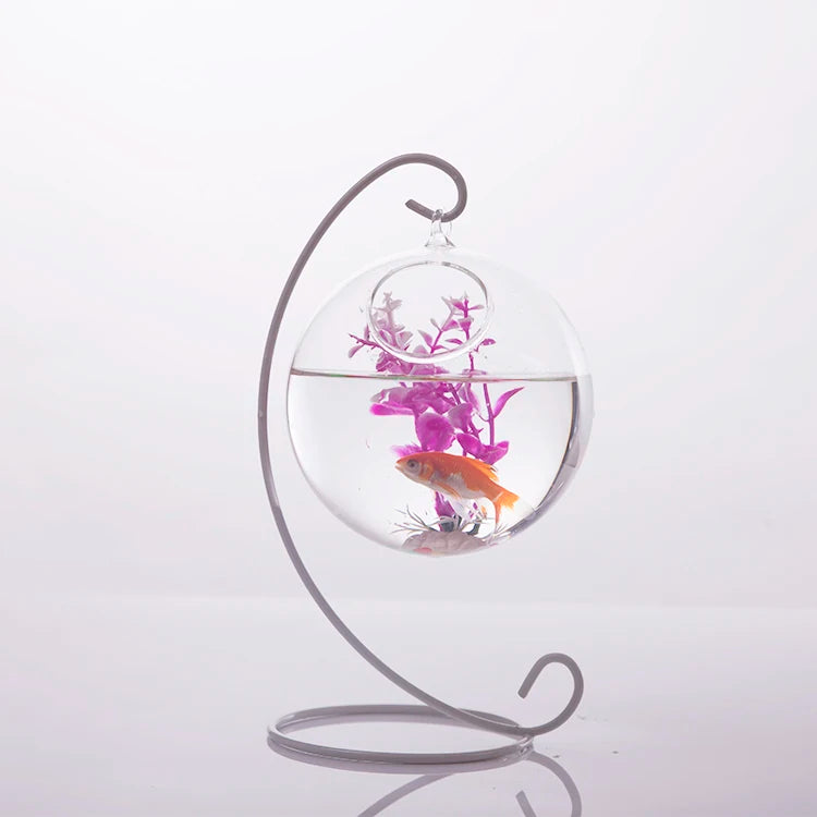 vase suspendu moderne aquarium transparent poisson plante artificielle anneau métalliqueintérieur table
