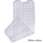 tapis bain transparent antidérapant motif animal poissons oiseaux moderne salle bain 38x69cm