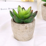 plantes succulentes artificielles vertes modernes mini bonsaï décoration maison feuilles pointues arrondies pot céramique