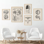 Tableau anatomie dans différentes couleurs disponibles chez Ombre Interieur