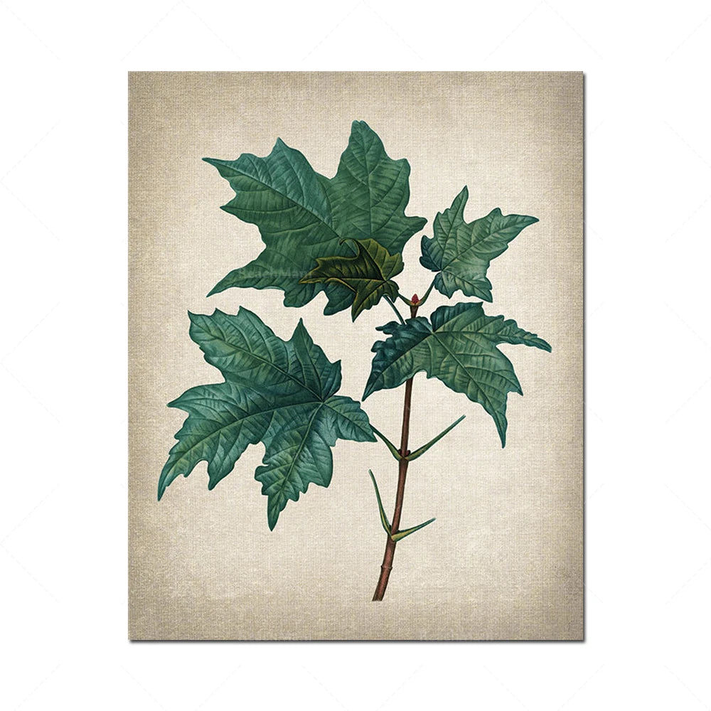 Une branche de feuilles vertes et de tiges est illustrée sur un fond texturé.