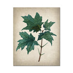 Une branche de feuilles vertes et de tiges est illustrée sur un fond texturé.