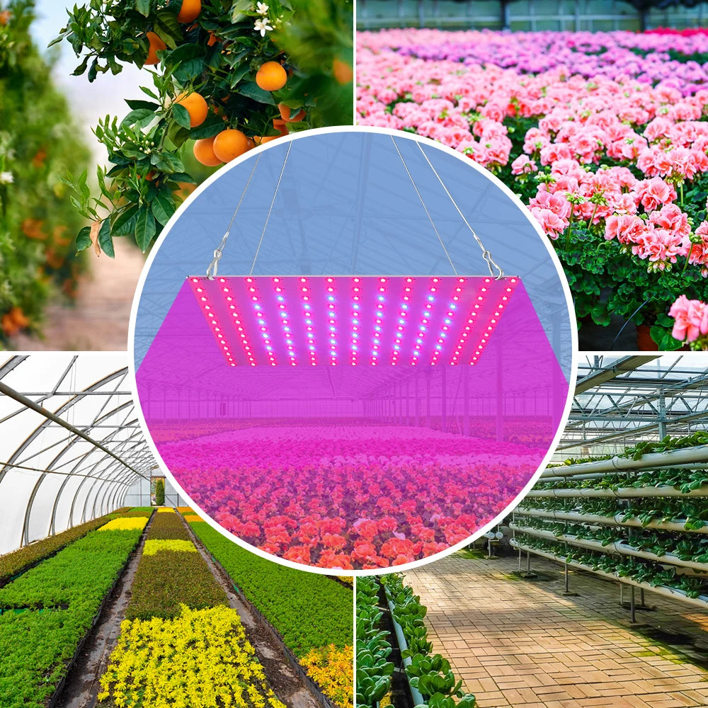 lampe croissance plante led violet rouge noir moderne 1000w 1500w eu us plug