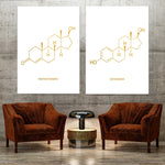 Affiches artistiques illustrant les structures chimiques de la testostérone et de l'estrogène, éléments clés de la régulation hormonale. Cette décoration murale est conçue pour un public intéressé par les sciences et la santé.