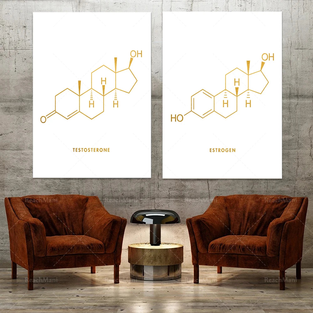 Affiches artistiques illustrant les structures chimiques de la testostérone et de l'estrogène, éléments clés de la régulation hormonale. Cette décoration murale est conçue pour un public intéressé par les sciences et la santé.