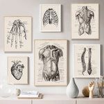 Tableau déco médicale accroché dans un salon moderne