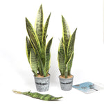 plantes artificielles vertes feuilles tropicales moderne decoration intérieure extérieur aloe vera sansevieria branches longues