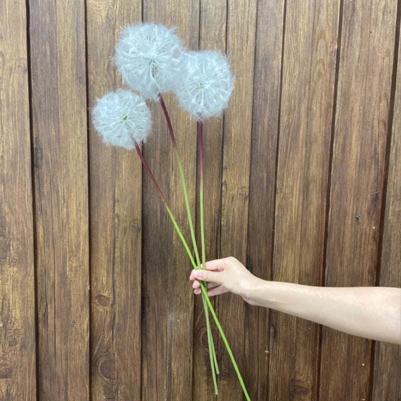 Fleur pissenlit blanc déco maison