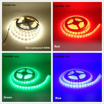 ruban led adhésif 12v blanc froid chaud rouge vert bleu ip65
