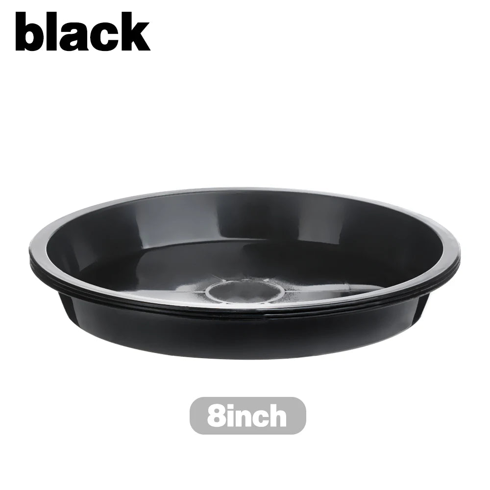 assiettes plante plastique rouge noir blanc modernes 10 pouces