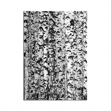 toile art moderne forêt bois noir blanc cadre bois décoration murale nature intérieure