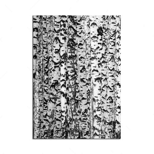 toile art moderne forêt bois noir blanc cadre bois décoration murale nature intérieure