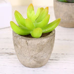 plantes succulentes artificielles vertes modernes mini bonsaï décoration maison feuilles pointues arrondies pot céramique