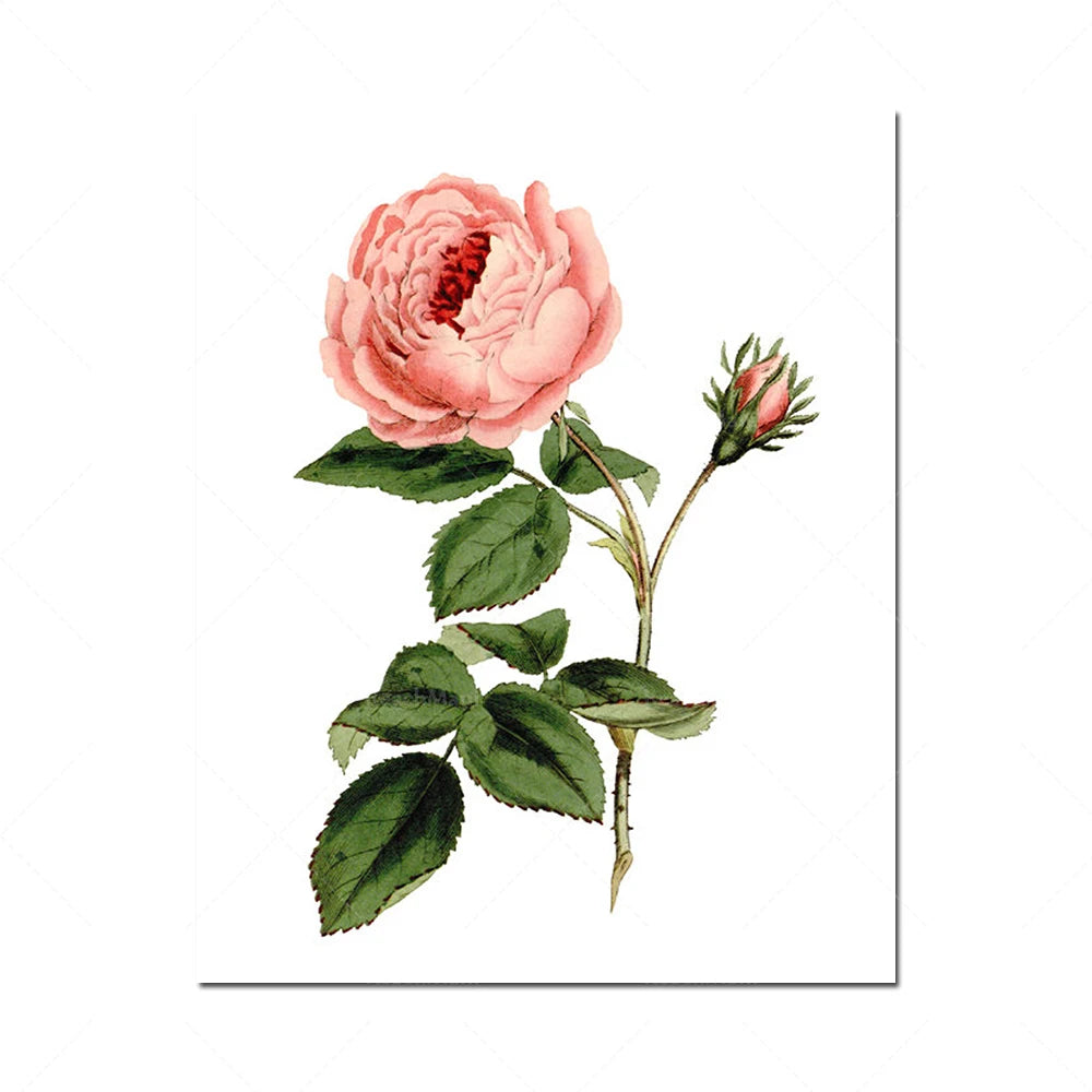 Une fleur de pivoine rose éclatante avec des feuilles vertes luxuriantes se dresse fièrement sur une tige délicate.