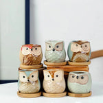 pots céramique fleurs chouette tête oiseau couleur variée texture artistique succulente