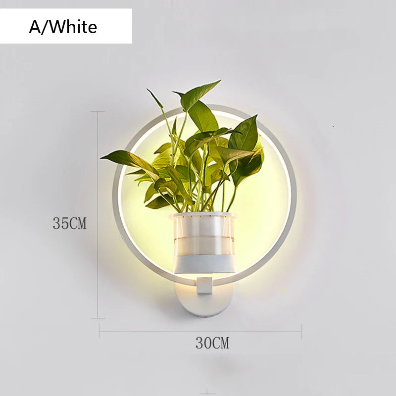 lampe murale moderne minimaliste noire blanche plante pot plastique transparent chambre salon entrée