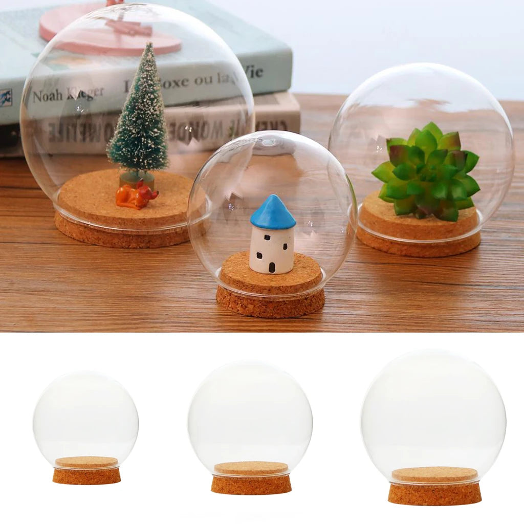 boule verre moderne transparente vase table couvercle liège maison arborée plante succulente miniature arrangement