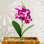 décoration intérieure orchidée artificielle violette blanche rose pot bois festive chambre