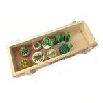 miniatures artificielles cactus plantes succulentes deco jardin bricolage ornement pot gravier blanc réaliste