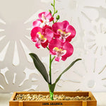 décoration intérieure orchidée artificielle violette blanche rose pot bois festive chambre
