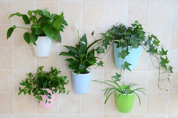 Cache pot mural suspendu moderne rose bleu clair vert blanc