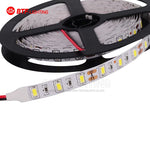 ruban led blanc 12v flexible adhésif éclairage intérieur moderne haute luminosité