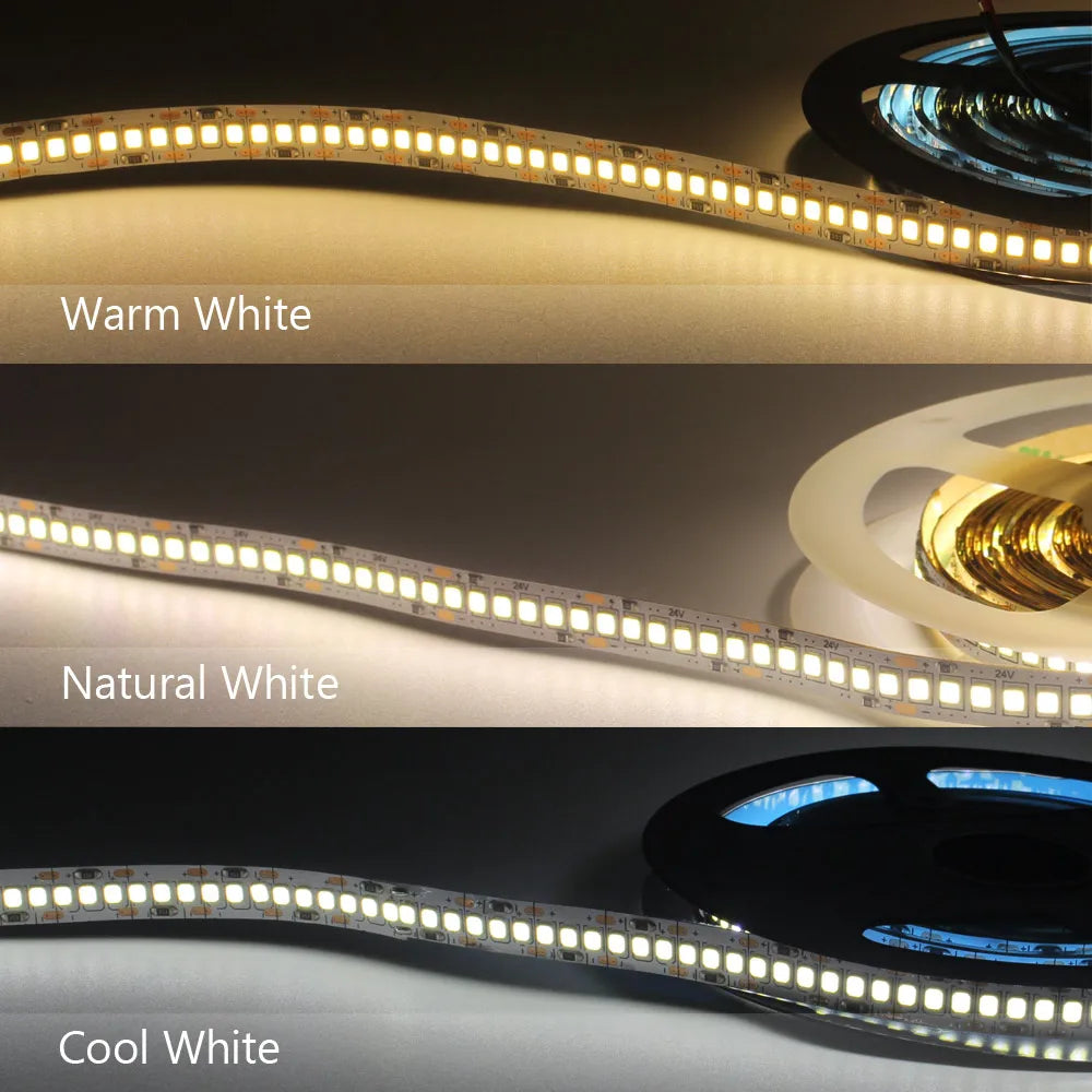 ruban led 12v blanc moderne adhésif 240leds/m 50000heures ip20 non étanche