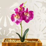 décoration intérieure orchidée artificielle violette blanche rose pot bois festive chambre